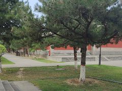 -凯鸽酒楼(大同振兴街店)