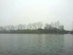 -溱湖国家湿地公园