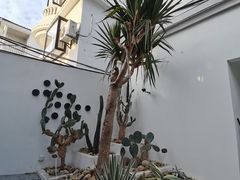 -大厨的餐厅(曾厝垵总店)