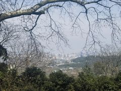 -八卦田遗址公园