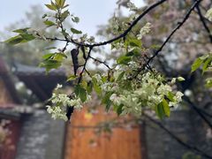 -南山植物园