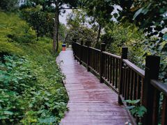 -北京十三陵国家森林公园蟒山景区