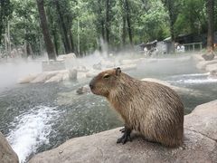 -北京野生动物园