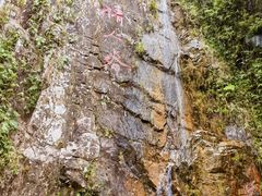 -海南霸王岭国家森林公园