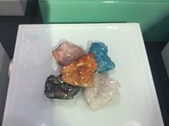-1868 Café(上海自然博物馆店)