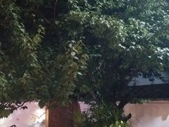 梅子树-云隐小厨·传统大理美食(复兴路店)