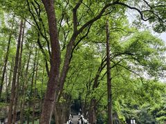 -忠山公园