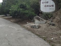 -白水寺森林公园