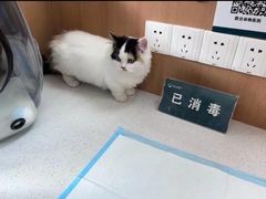 -联合动物医院(光谷诊疗中心)