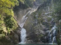 -海南霸王岭国家森林公园