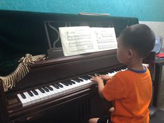 -弘智卉艺术教育/高端琴房(中央音乐学院店)