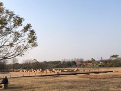 -盘龙城国家考古遗址公园