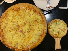 -百好乐宠物友好餐厅(朝外大街店)