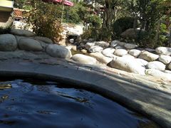 -太白山御龙湾温泉