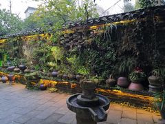 -青城甲(青城山店)