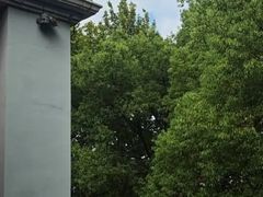 -橘洲1910花园江景西餐厅