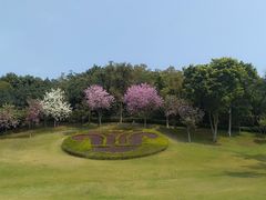 -广州市白云山风景名胜区