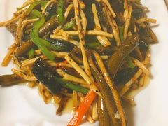 -丁老爷子苏香圆