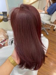 -THE LOG SALON 记录