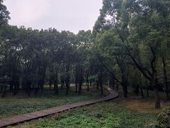 -同里国家湿地公园