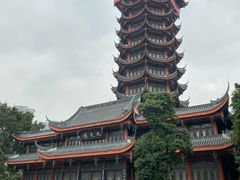-塔子山公园