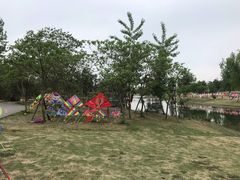 -两河城市森林公园