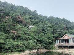 -欢乐松鼠谷