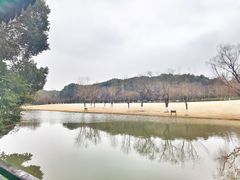 -上海方塔园