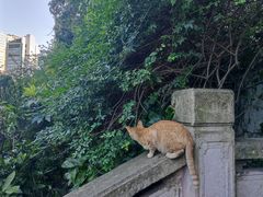 -黔灵山公园