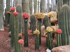 -南通洲际绿博园