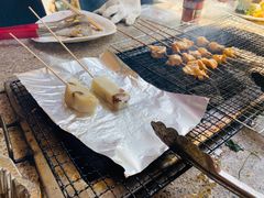 -吴淞炮台湾湿地森林公园烧烤区