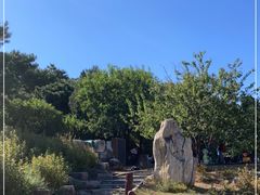 -北京西山国家森林公园