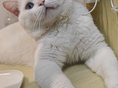 -宠颐生汉谟拉比宠物医院