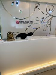 -丽时 Hair Salon