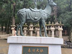 -奈良公园