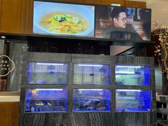 水产区-院里寻菜·精致庭院菜(观沙岭店)