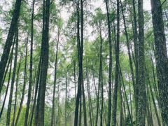 -硗碛藏寨·神木垒景区