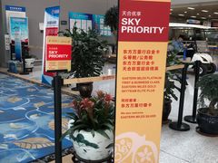 -合肥新桥国际机场-航站楼