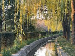 -洛阳市隋唐城遗址植物园