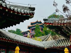 -宫事颐庭·老佛爷贵寿下午茶(颐和园店)