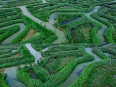 -泗洪洪泽湖湿地景区