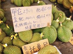 -海吉星市场