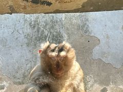 -柳州市动物园