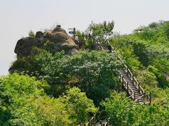 -大岭沟猕猴桃谷风景区