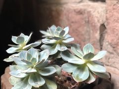 -鱼桥巷·美学川菜