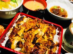 -大吉鲜鱼料理自慢(维也纳大厦店)