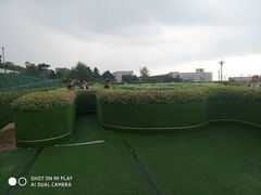 -莫子山公园