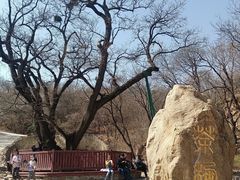 -北京西山国家森林公园