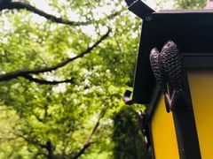 -东水关遗址公园