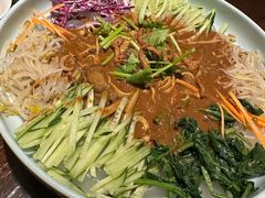 大拉皮-黑土印象菜馆(三元桥店)